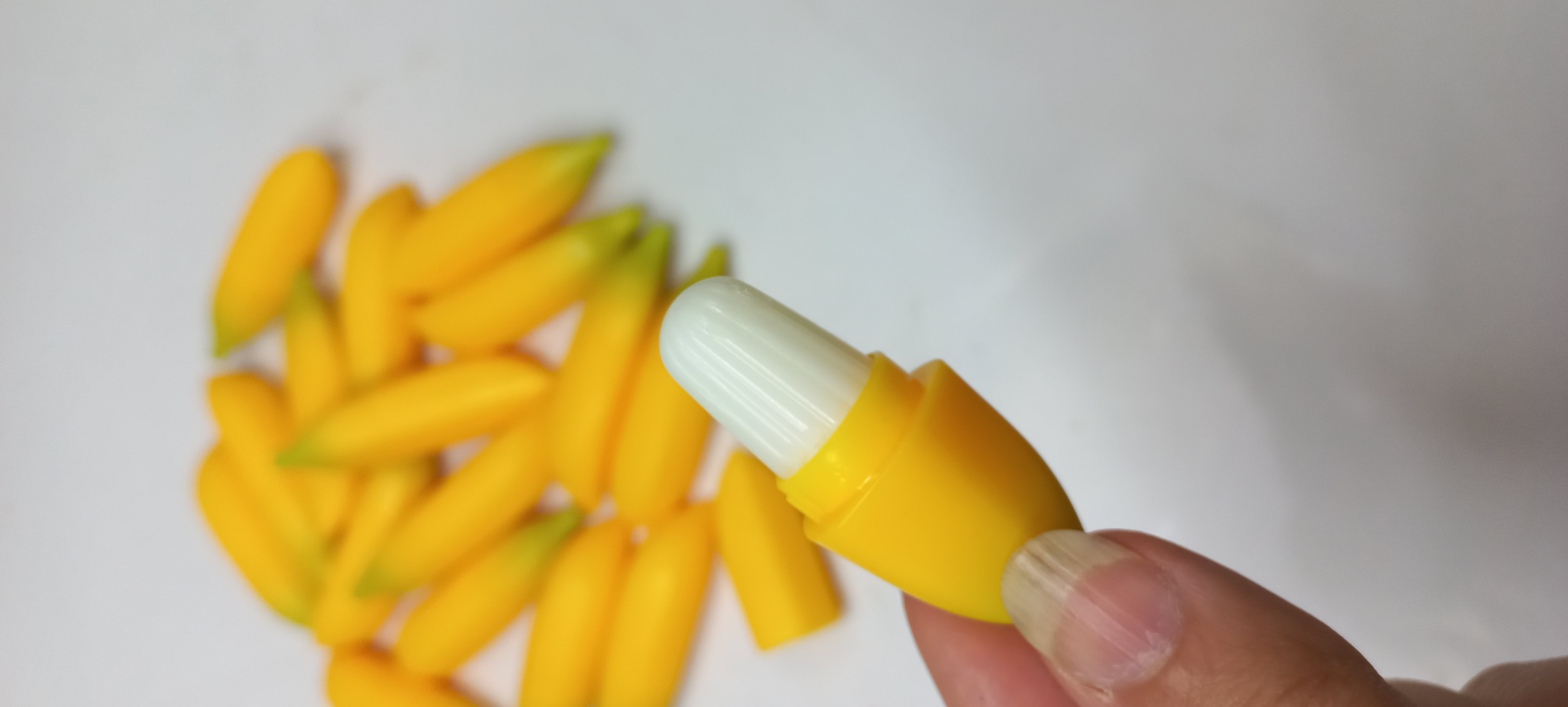 بالم لب بیرنگ موزی